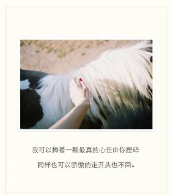 唯美图片，文字图片,情侣图片qqqqp