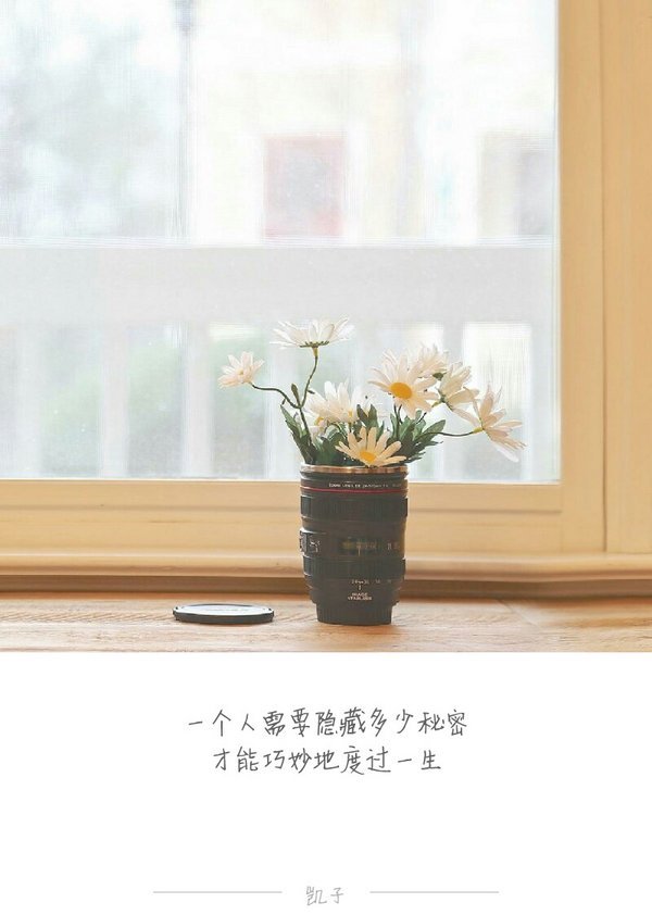 唯美图片，文字图片，动漫图片，情侣图片,qqqqp.com