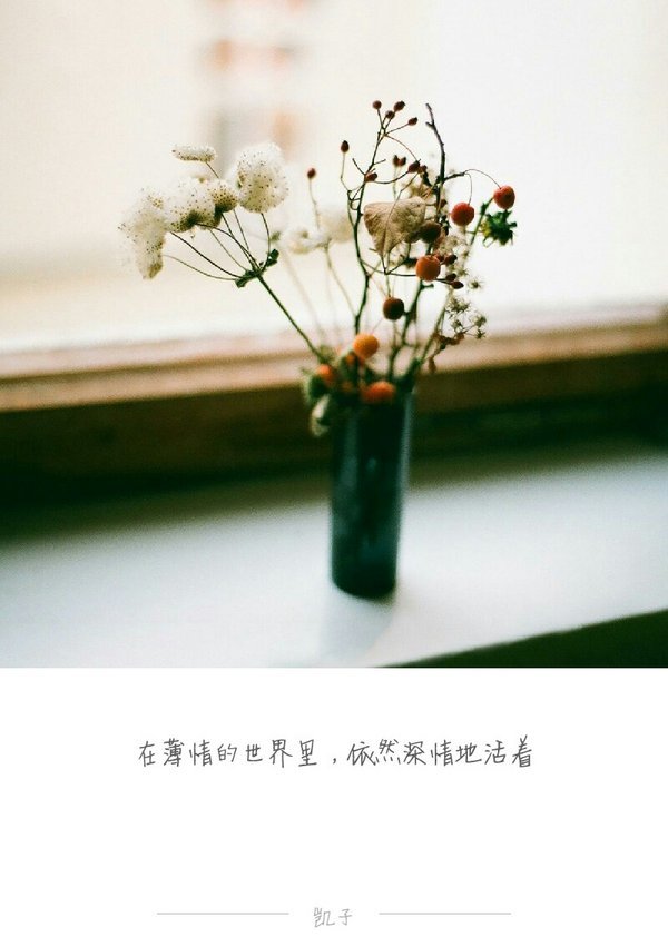 原来有些东西，没有就是没有，不行就是不行