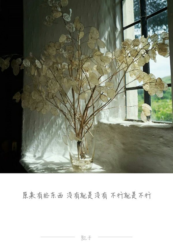 唯美图片，文字图片，动漫图片，情侣图片,qqqqp.com