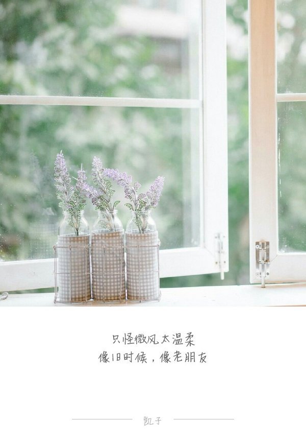 唯美图片，文字图片，动漫图片，情侣图片,qqqqp.com