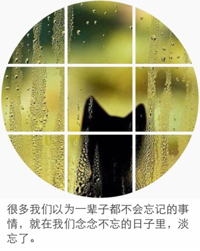 请点击本图预览实际效果 qqqqp