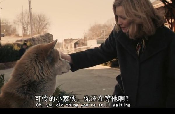 狗是最有感情的动物