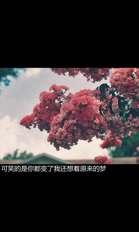 总要为想爱的人不想活才跟该爱的人生活