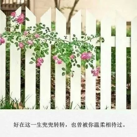你没有耳聋，你是真的没有感动