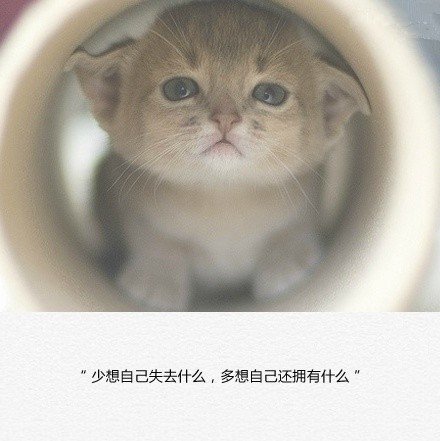 先处理事情，后处理心情