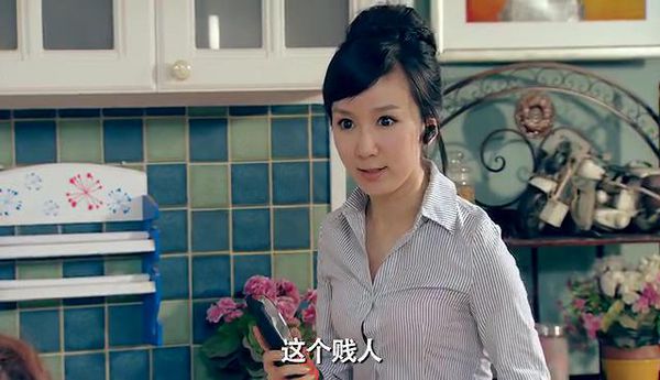 爱情公寓 还有印象吗
