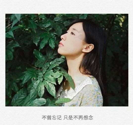 明明不是我喜欢的那种人，偏偏却是我喜欢的那个人