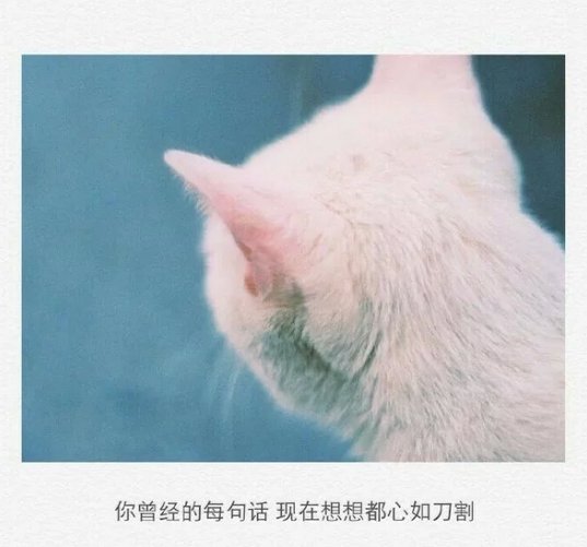 唯美图片，文字图片,情侣图片qqqqp