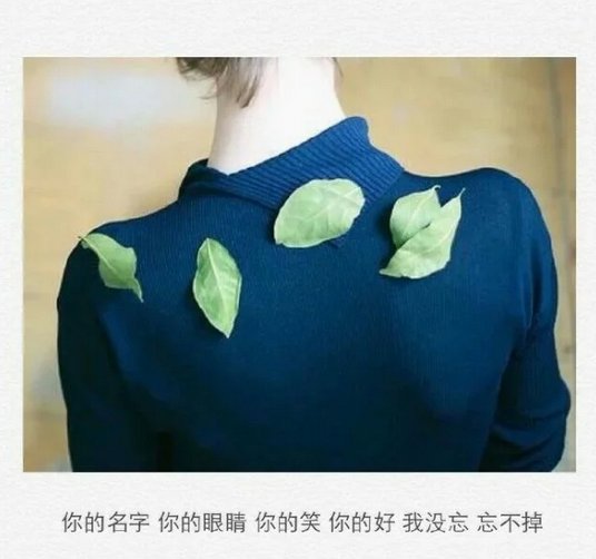 唯美图片，文字图片,情侣图片qqqqp