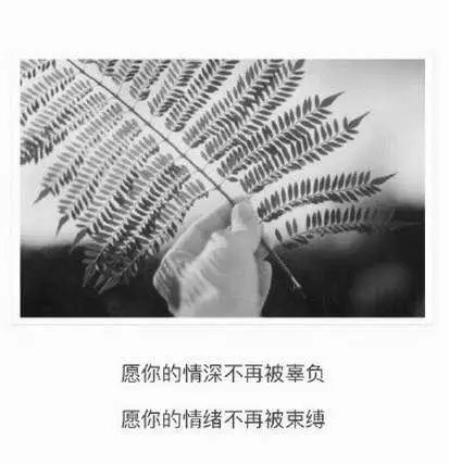 唯美图片，文字图片,情侣图片qqqqp