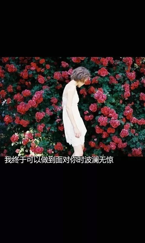 唯美图片，文字图片,情侣图片qqqqp