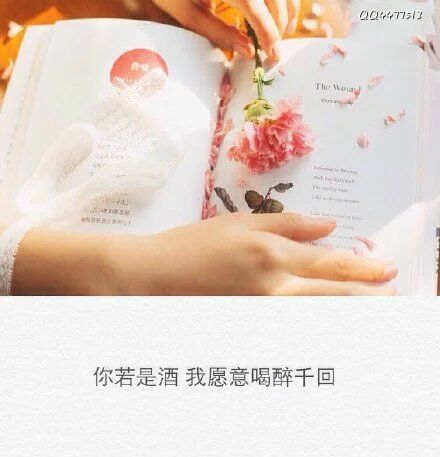 有太多要做的事没做 最后连一场认真地告别