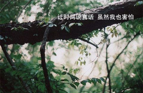 我为什么这么难过因为我又是一个人了孤单又来了