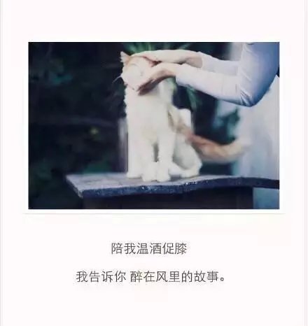 总事莫名当向想到你，然后不能自己