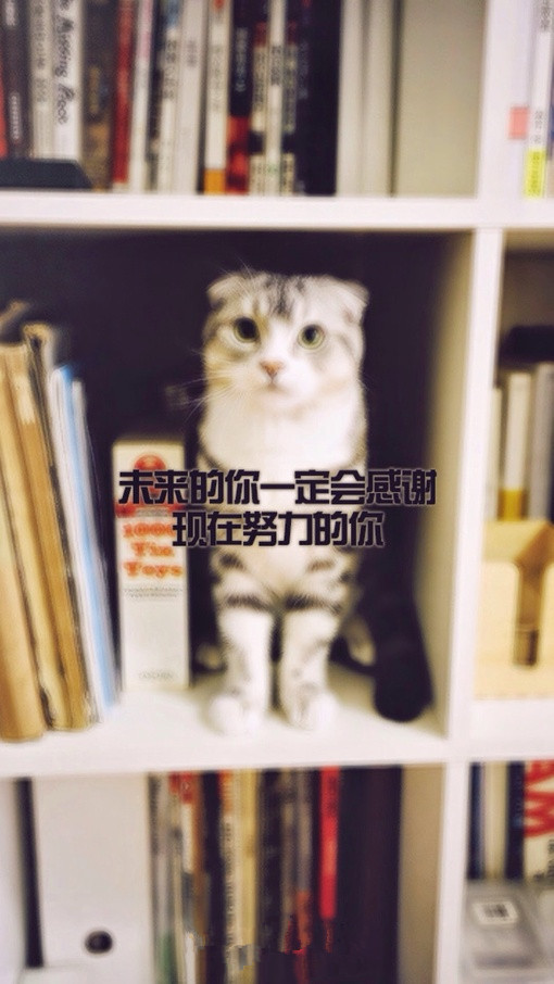 并不是牵牵手，就是谈恋爱