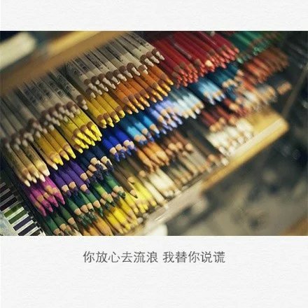 爱一个人不一定非要占有，所以我选择给你自由让你走