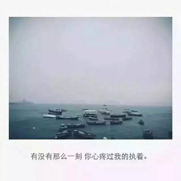 认真你就输了，动情你就哭吧