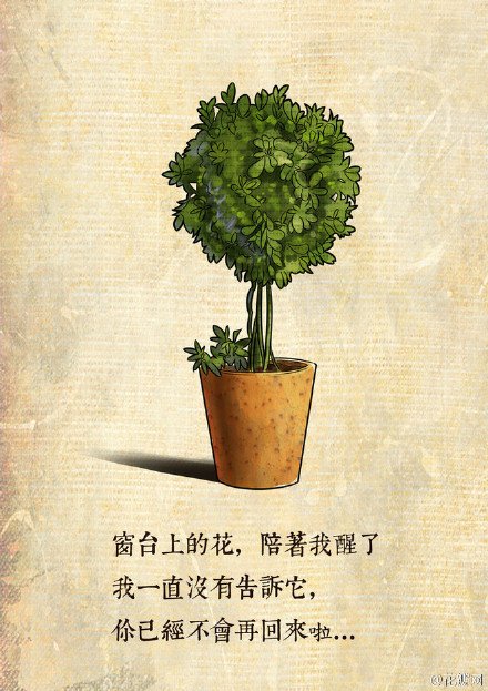 唯美图片，文字图片，动漫图片，情侣图片,qqqqp.com