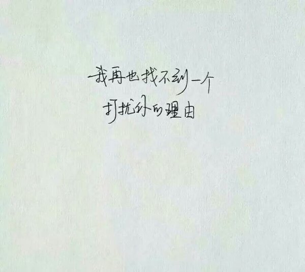 我就像只流浪的猫 怕极了没人要