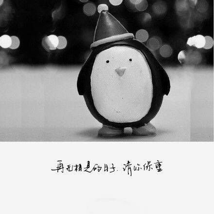 唯美图片，文字图片,情侣图片qqqqp