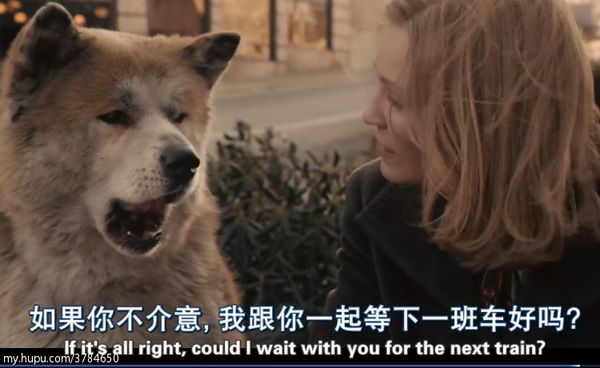 一个我需要梦想需要方向需要眼泪。