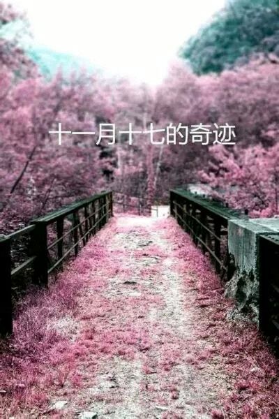 做自己生命的主角，而不是别人生命中的看客
