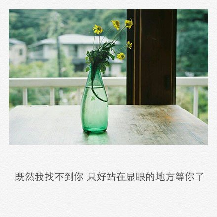 我会一直爱，即使春不暖花不开