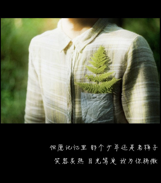但愿记忆里，那个少年还是老样子