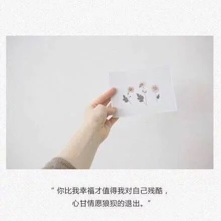 唯美图片，文字图片，动漫图片，情侣图片,qqqqp.com