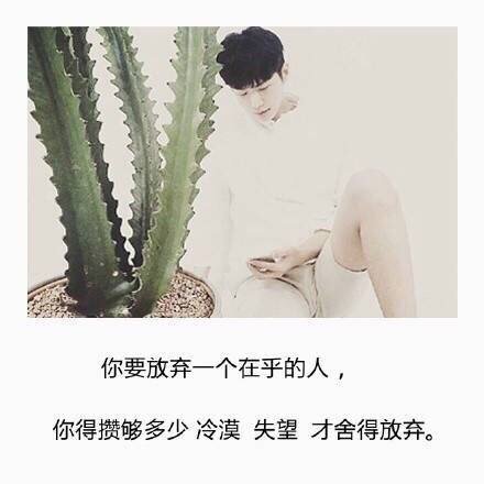 我不等了，就当风没吹过，你没来过，我没爱过