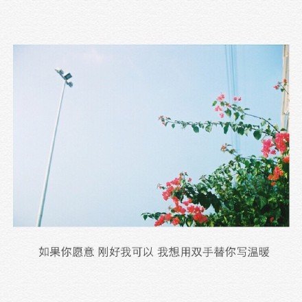 全世界可以是你的，但是你只能是我的