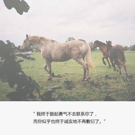 离开，是很遥远的决定