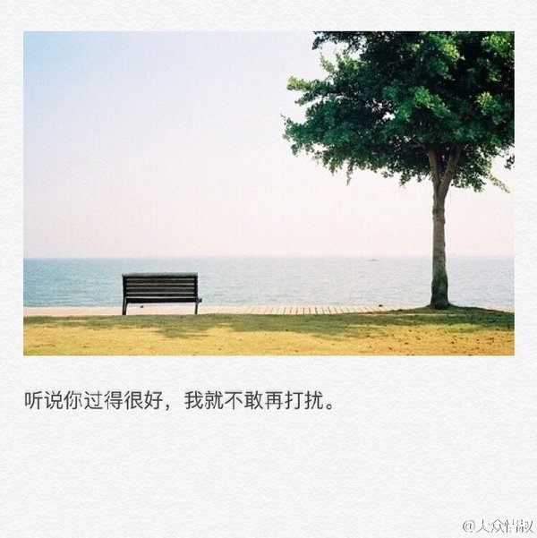唯美图片，文字图片,情侣图片qqqqp