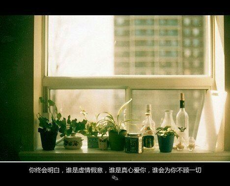 唯美图片，文字图片,情侣图片qqqqp