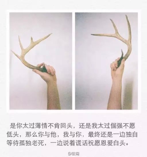 看到他就仿佛看到了后半生，一切都美好的不像话