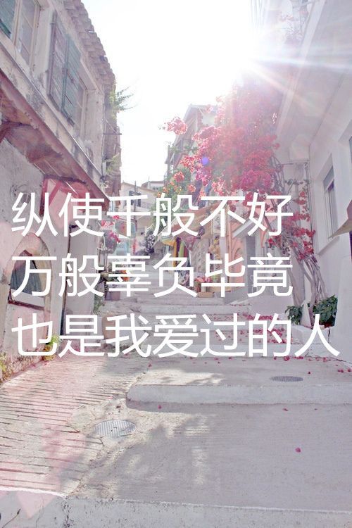 再见再也不见