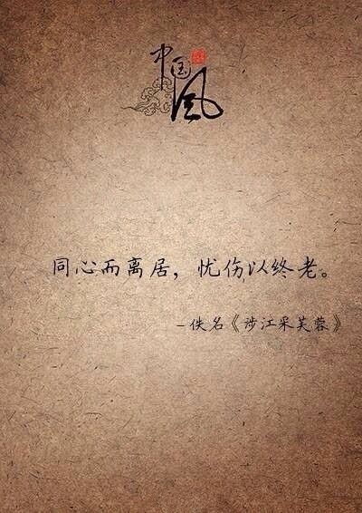 有没有一句诗打动过你