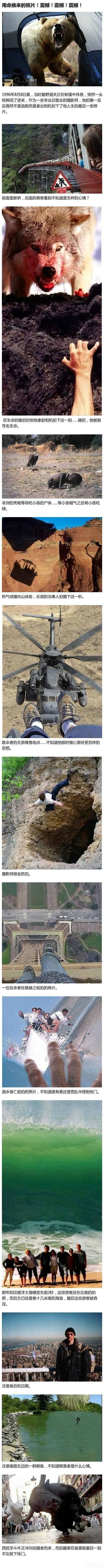那些用生命换来的照片
