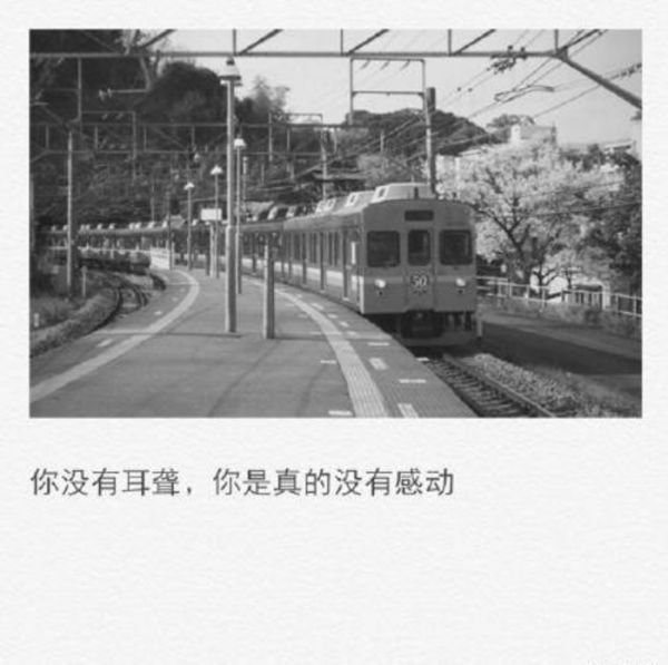 只是后来我们依然孤单，你换了几站，我一直流浪
