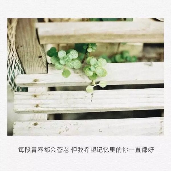 未来太长，回忆太伤，你太难忘