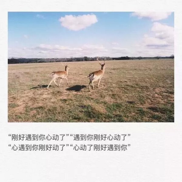 我喜欢的样子你都有，你有的样子我都爱