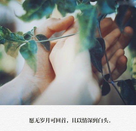 你等一个人，就是拿时间赌，然后输的一塌糊涂