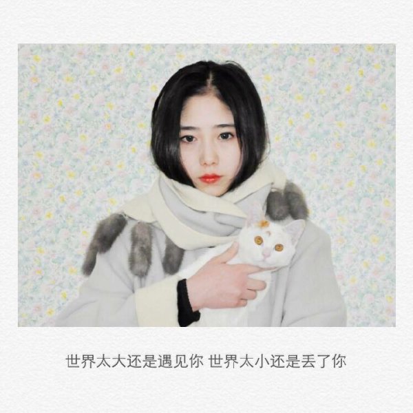 唯美图片，文字图片，动漫图片，情侣图片,qqqqp.com