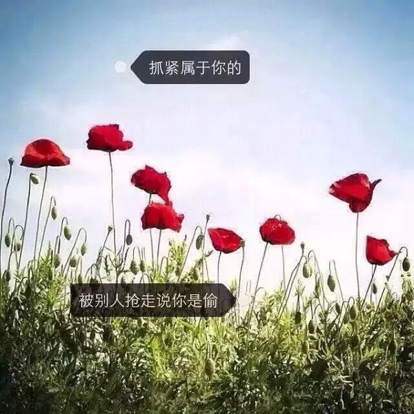 抓紧属于你的幸福