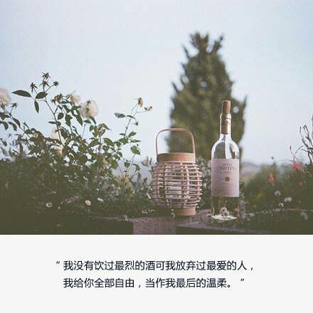 唯美图片，文字图片,情侣图片qqqqp