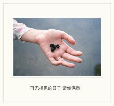 唯美图片，文字图片,情侣图片qqqqp