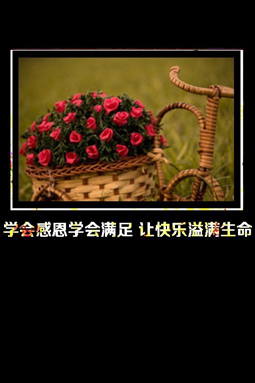 唯美图片，文字图片,情侣图片qqqqp
