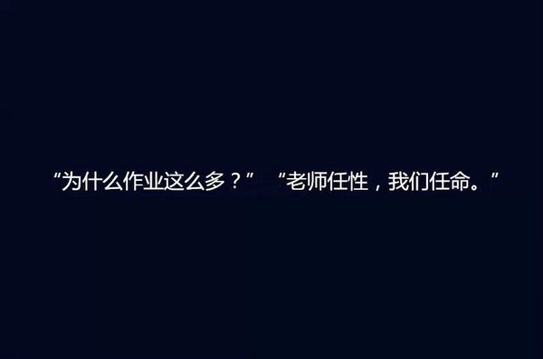 关于作业的那一点点小事