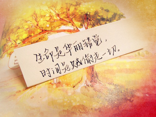 你的笑，只是你穿的保护色
